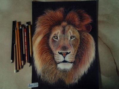 Drawing a lion - Dibujando un león
