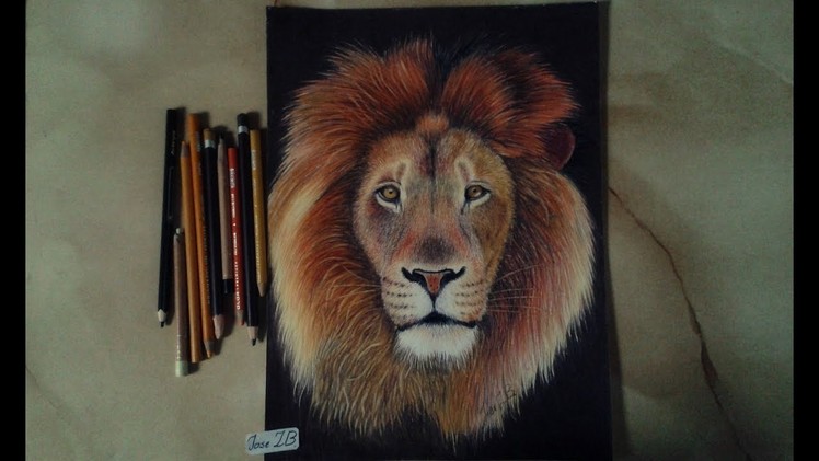 Drawing a lion - Dibujando un león