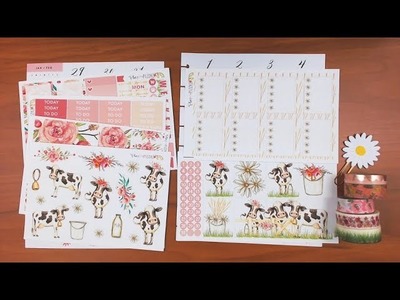 Happy Planner Plan with me January 29- February 4 featuring PlanwithPizazz