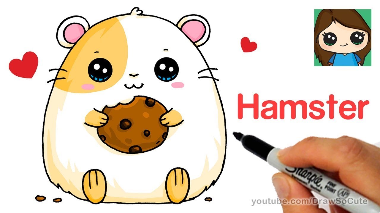 Great How To Draw A Baby Hamster in the world Check it out now 