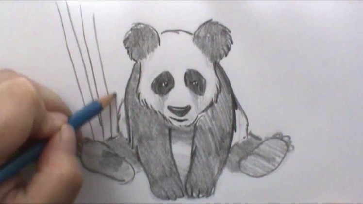 How to draw a Panda