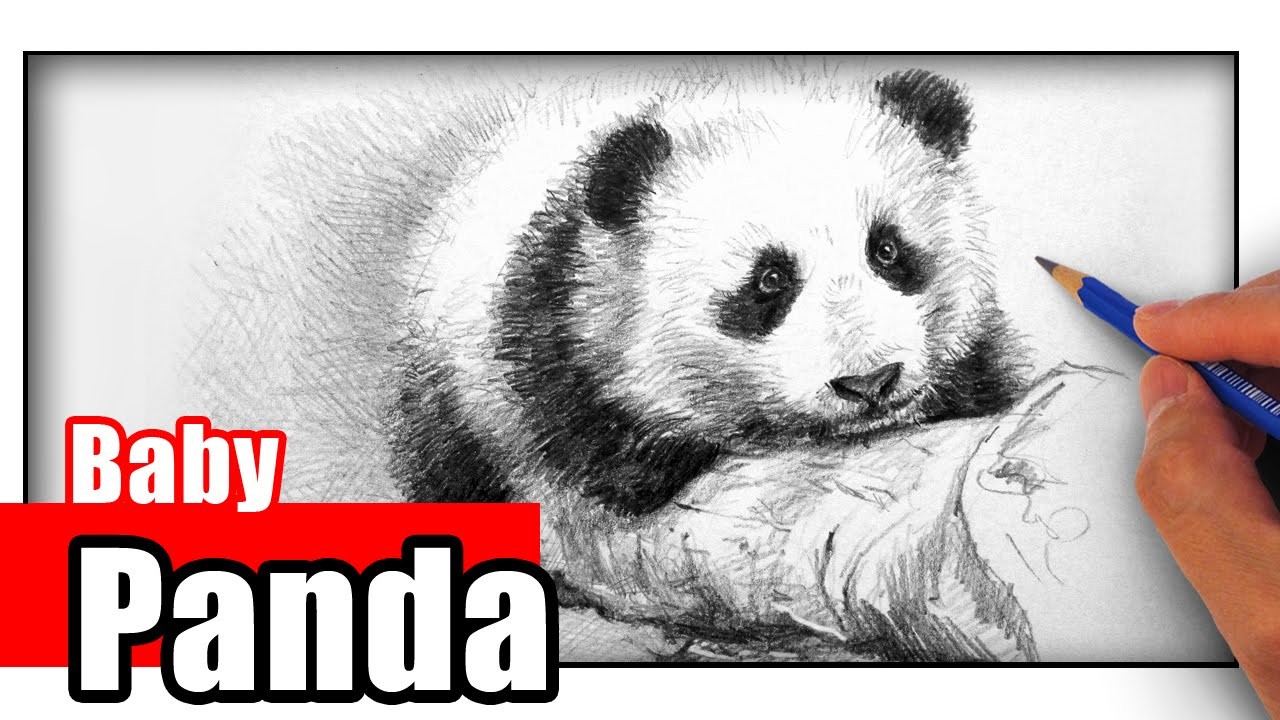 How To Draw A Panda The Easy Way