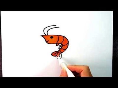 HOW TO DRAW SHRIMP for kids : Step by step easy drawing tutorial