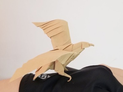 Origami Eagle 3.0 Tutorial - Intermediate Version (Henry Phạm)