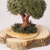 Tree Ornament Standing Trees Reindeer Moss Shell Base Nature Home Decor Handmade (Medium Item)