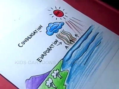 How does rain form and what is the water cycle Drawing for Kids