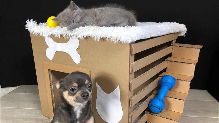 How to Make Amazing House from Cardboard for Puppy Dog and Kitten