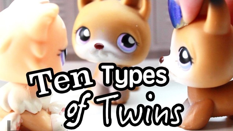 LPS - 10 Types of TWINS!