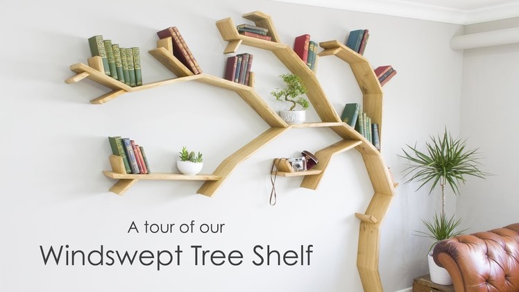 Tree Shelf Tour - A Quick Look Around our 2.1m Windswept Tree Shelf