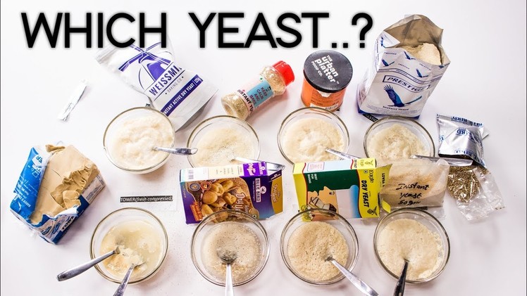 Types of Yeast in India - Dry, Active Instant and Fresh Yeast - CookingShooking