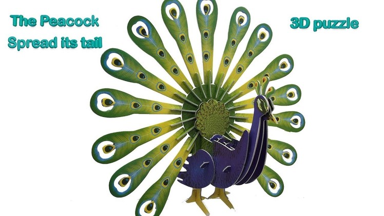 3D Puzzle DIY, The Peacock Spreads its tail