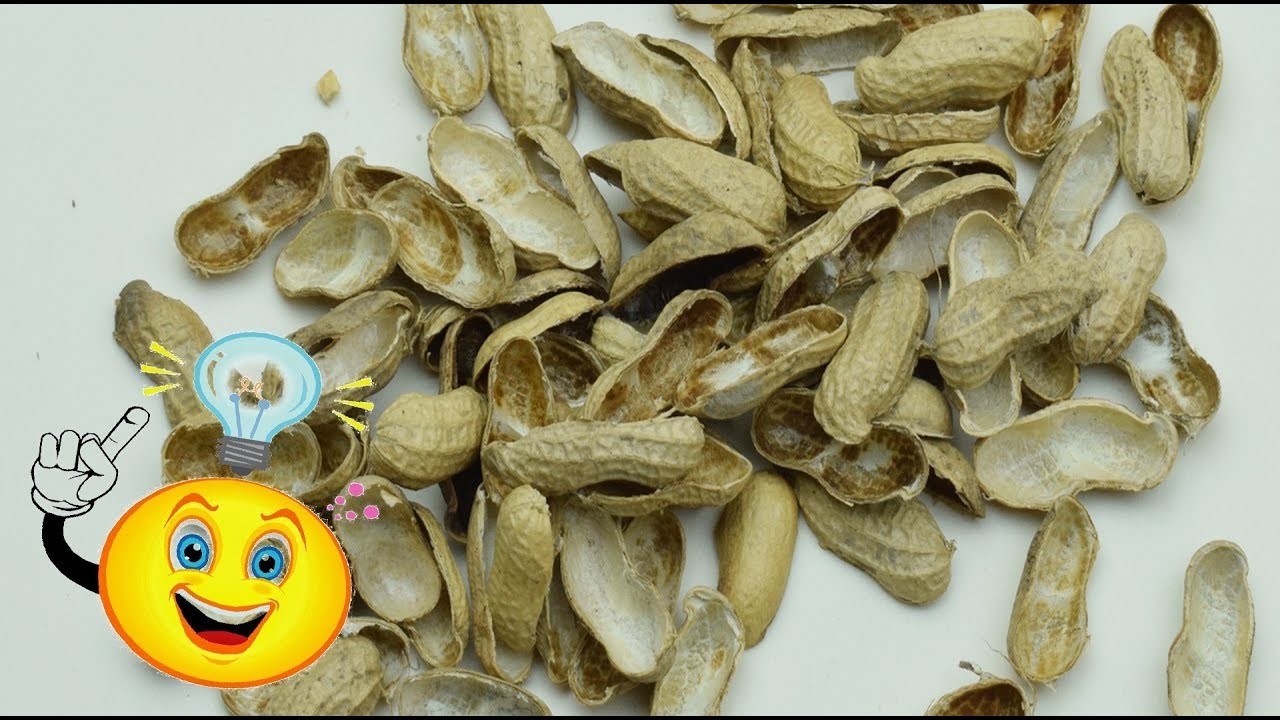 Best DIY craft from Peanut (groundnut) shells | Wall hanging Decor for Valentine's Day