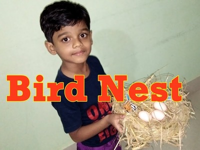 Bird Nest [How to Make a Birds Nest Craft for School Project at Home Easy]