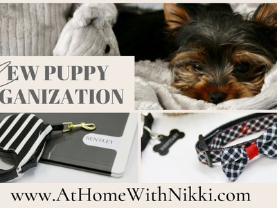 PET ORGANIZATION | OUR NEW PUPPY