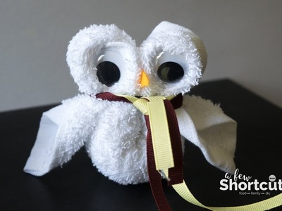 How to Make A Washcloth Owl - Harry Potter Craft