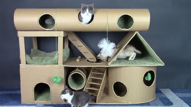 How to Make Amazing Cat Kitten Pet House from Cardboard