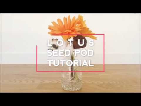 [how to make paper flowers] LOTUS SEED POD! DO NOT NEED TEMPLATE![FULL MAKING FILM]