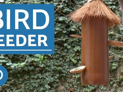How to make a  DIY bird feeder - DIY for PETS
