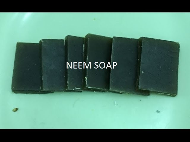Make Your Own Neem Soap For Clear & Healthy Skin (DIY)