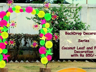 BackDrop Decoration with Rs850