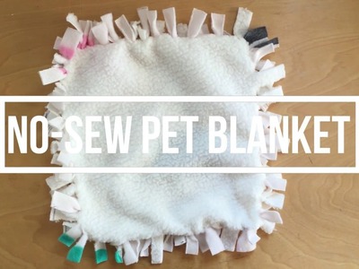 DIY: No-Sew Pet Blanket
