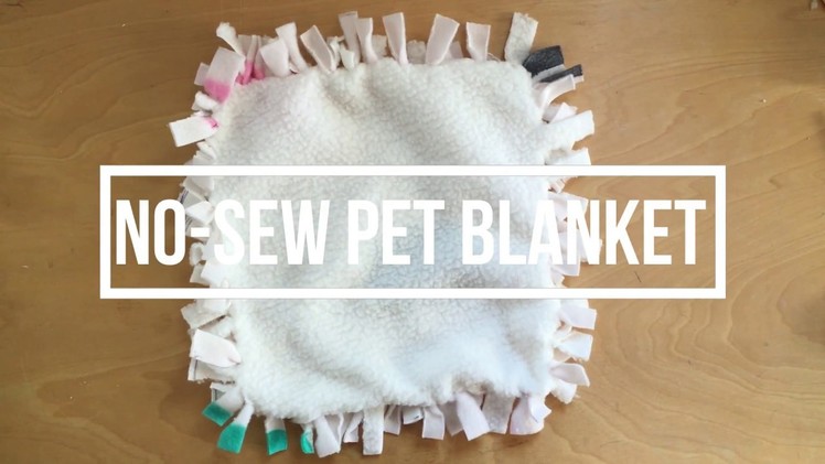 DIY: No-Sew Pet Blanket