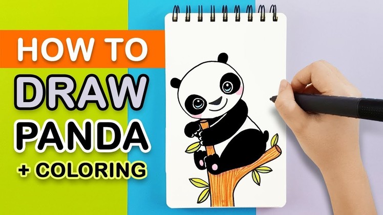 How to Draw Cute Panda (+ Easy Coloring)