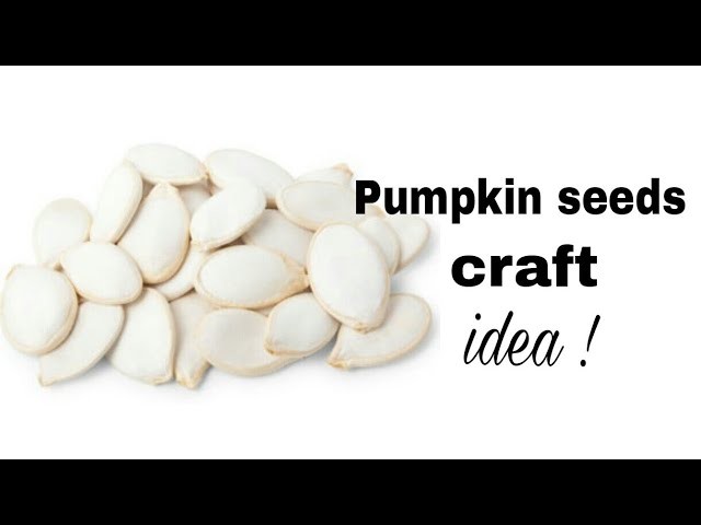 See this video before throwing Pumpkin seeds.Best out of waste craft idea