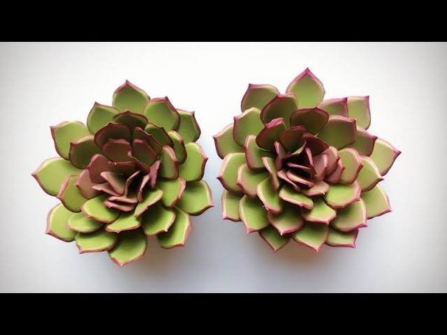 ABC TV | How To Make Succulent Paper Flower - Easy Craft Tutorial