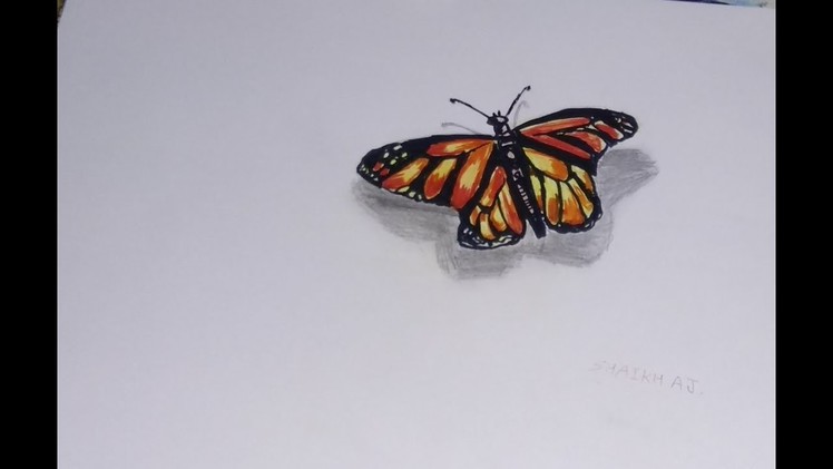 Butterfly 3D DRAWING EASY