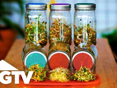 How to Grow Sprouts in Jars - Way to Grow - HGTV