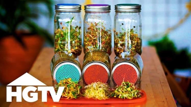 How to Grow Sprouts in Jars - Way to Grow - HGTV