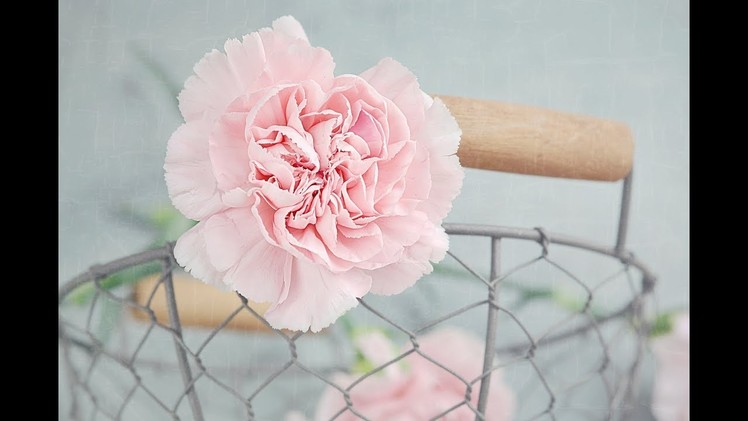 How to make a beautiful and amazing carnation flower with crepe paper.