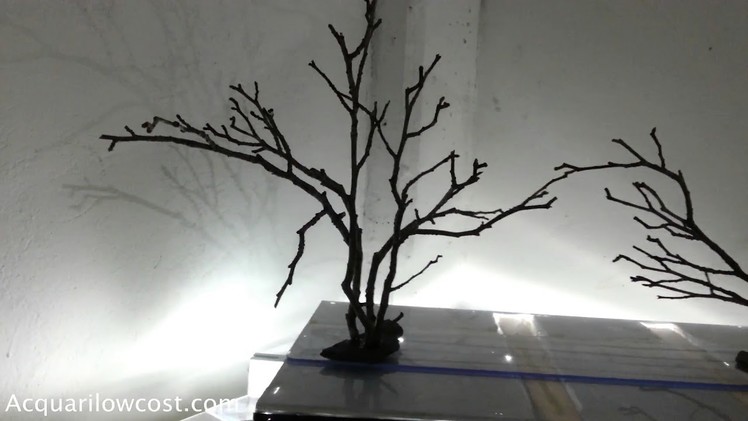 How to make a bonsai tree aquarium - tutorial step by step