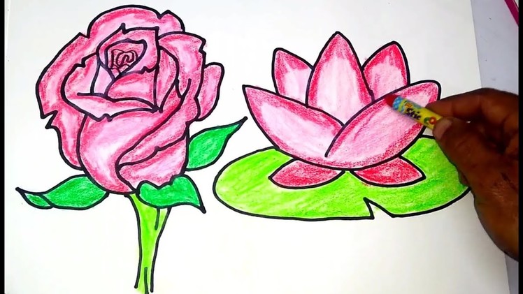 Easy Draw Rose & Lotus Drawing.Coloring Pages