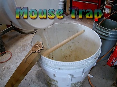 How To Make Bucket Rolling Log Mouse Trap - Best Mouse Trap Ever