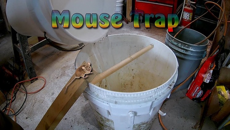 How To Make Bucket Rolling Log Mouse Trap - Best Mouse Trap Ever