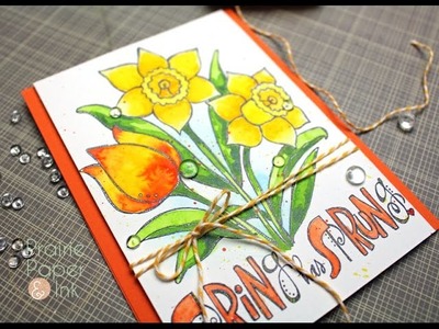 SSS Spring has Sprung | Mission Gold Watercolor | AmyR Spring & Easter Series #10