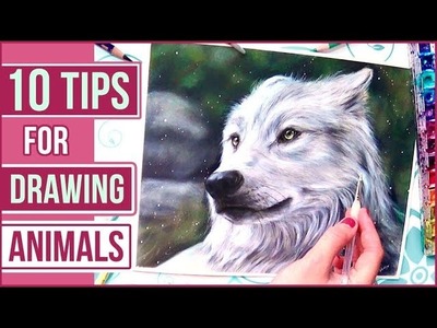 TOP 10 Tips for Drawing Animals