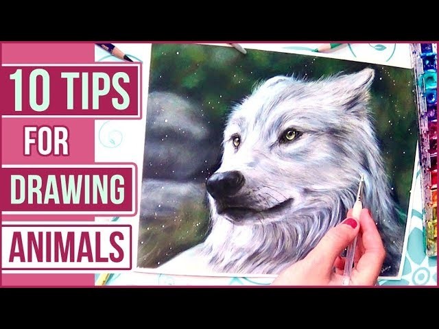TOP 10 Tips for Drawing Animals