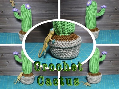 Crochet Cactus