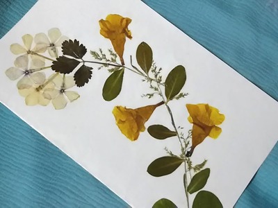 Dry Flower Art Greeting Card Making. Tutorial. DIY