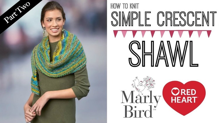 How to Knit Simple Crescent Shawl [Part 2] Two Yarn Over Eyelet Row