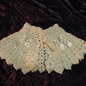 Victorian Style Capelet/Prom Cape White (10-teen Size)
