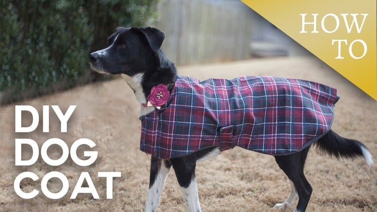 DIY Dog Coat. Sew-A-Long