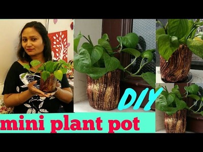 DIY ideas,do it yourself,mini plant pot diy,anvesha,s creativity