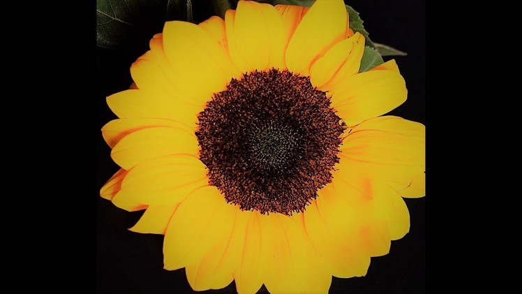 How to make a beautiful and amazing miniature sunflower with crepe paper.