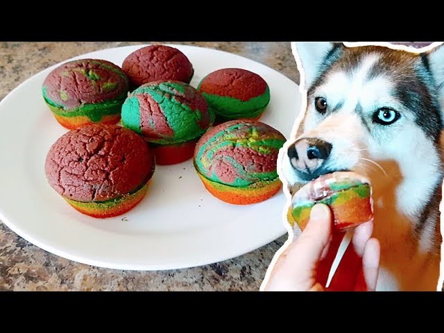 DIY Dog Birthday Cake: We make PUPCAKES!