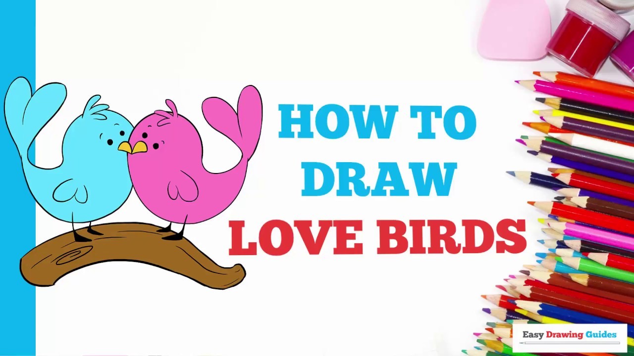 How to Draw Love Birds in a Few Easy Steps Drawing Tutorial for Kids