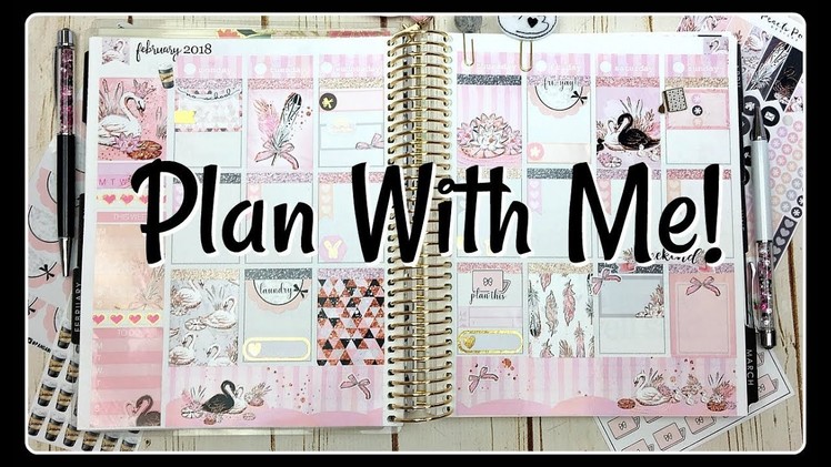Plan With Me! | Swan Love | Erin Condren Life Planner